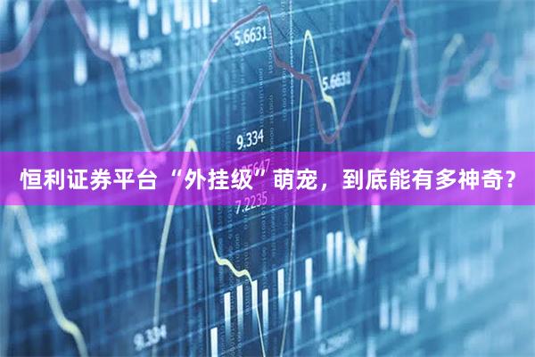 恒利证券平台 “外挂级”萌宠，到底能有多神奇？