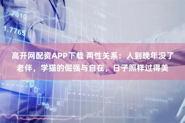 高开网配资APP下载 两性关系：人到晚年没了老伴，学猫的倔强与自在，日子照样过得美