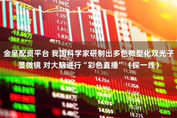 金呈配资平台 我国科学家研制出多色微型化双光子显微镜 对大脑进行“彩色直播”（探一线）